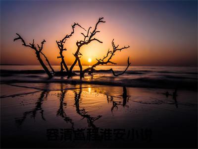 （容清鸢程淮安）是什么小说_主角是（容清鸢程淮安）的小说（容清鸢程淮安）最新章节列表_笔趣阁