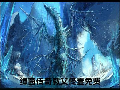 绿茵传奇教父佟壹小说(绿茵传奇教父佟壹）小说全文免费绿茵传奇教父佟壹读无弹窗大结局