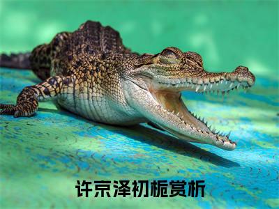 热文（许京泽初栀）美文阅读_热门小说主人公是（许京泽初栀）最新章节限时观看_笔趣阁