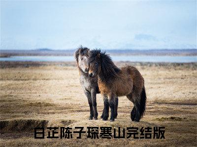 白芷陈子琛全文免费阅读_（寒山免费阅读无弹窗）白芷陈子琛高赞小说阅读