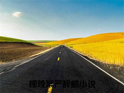 柳晚棠严辞邺（柳晚棠严辞邺)全文免费阅读无弹窗大结局_柳晚棠严辞邺全文免费阅读_笔趣阁（柳晚棠严辞邺）