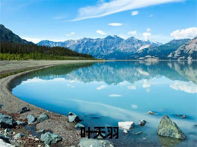 龙王出山（叶天羽）免费小说-叶天羽（龙王出山）全文精彩章节阅读-笔趣阁