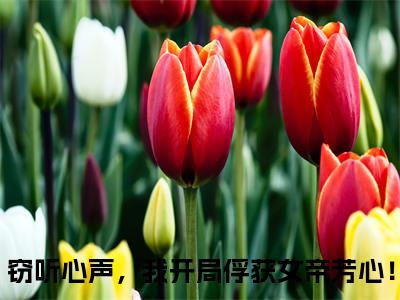叶寒（窃听心声，我开局俘获女帝芳心！）新上热文小说全文免费阅读-小说（窃听心声，我开局俘获女帝芳心！）完整版阅读