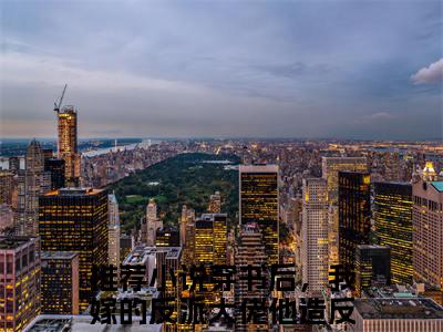 （穿书后，我嫁的反派大佬他造反了宝藏）在线阅读-主角是（秦晟吕颂梨）的小说穿书后，我嫁的反派大佬他造反了宝藏全文赏析最新章节列表_笔趣阁