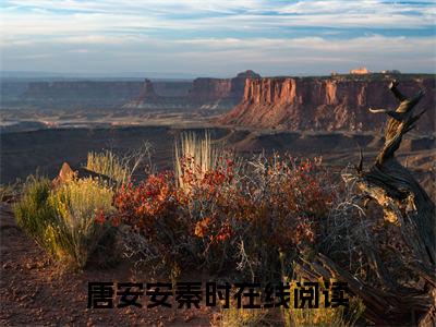 唐安安秦时（唐安安秦时）全文免费阅读无弹窗_唐安安秦时最新小说_笔趣阁（唐安安秦时）