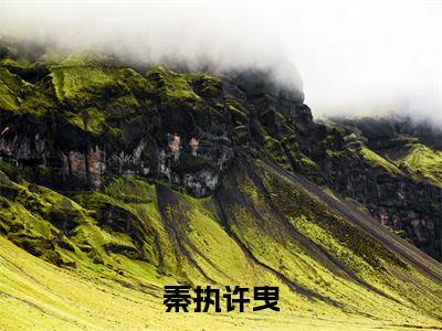 秦执许曳全文免费阅读无弹窗-秦执许曳最新章节列表在线阅读