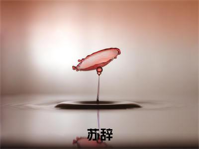 苏辞小说(苏辞)全文免费苏辞读无弹窗大结局_(苏辞小说免费阅读)