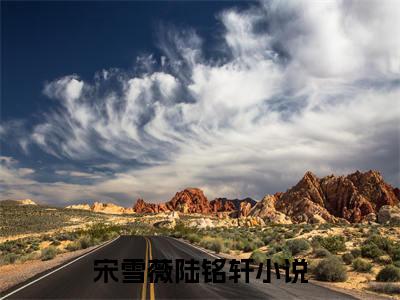宋雪薇陆铭轩(宋雪薇陆铭轩)全文免费阅读无弹窗大结局_(宋雪薇陆铭轩免费阅读全文大结局)最新章节列表_笔趣阁（宋雪薇陆铭轩）