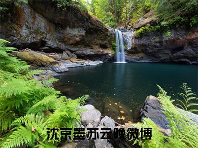 沈京墨苏云晚（沈京墨苏云晚）小说全文在线阅读_沈京墨苏云晚最新章节在线阅读_笔趣阁