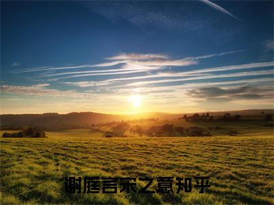 主角叫谢庭言宋之意的小说在哪阅读谢庭言宋之意是什么小说