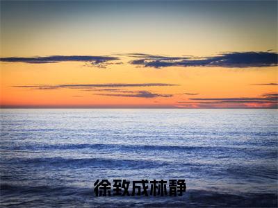 徐致成林静全文免费阅读在线阅读 徐致成林静全文免费阅读最新章节列表_笔趣阁