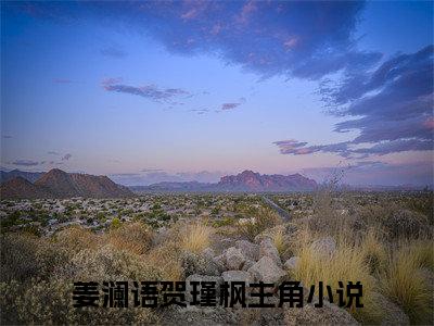 姜澜语贺瑾枫小说（姜澜语贺瑾枫）免费阅读全文-完整版小说（姜澜语贺瑾枫）最新在线阅读