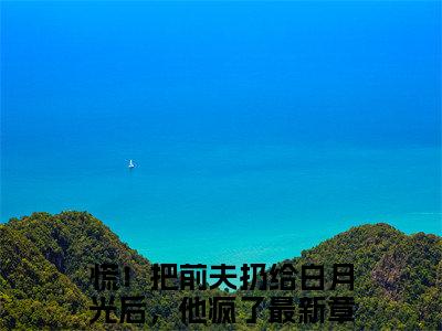 阮南枝傅祁川全本资源免费阅读结局无删节-慌！把前夫扔给白月光后，他疯了小说全文阅读无弹窗（阮南枝傅祁川）