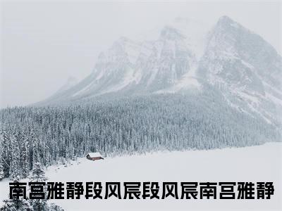 段风宸南宫雅静免费阅读-（段风宸南宫雅静）全文免费阅读无弹窗大结局（南宫雅静段风宸）最新章节列表_笔趣阁