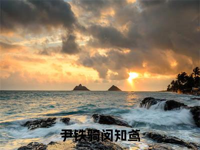 精选小说（尹铁骑闵知鸢）全本阅读-尹铁骑闵知鸢免费阅读-笔趣阁（尹铁骑闵知鸢）