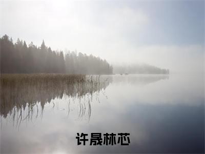 校草男神的小祖宗又软又甜（校草男神的小祖宗又软又甜）小说在线阅读_校草男神的小祖宗又软又甜全本免费小说阅读（许晟林芯）