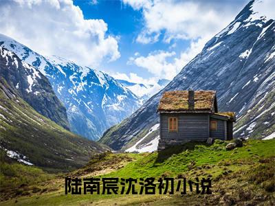 陆南宸沈洛初小说最新章节免费阅读-陆南宸沈洛初小说全文无删减版