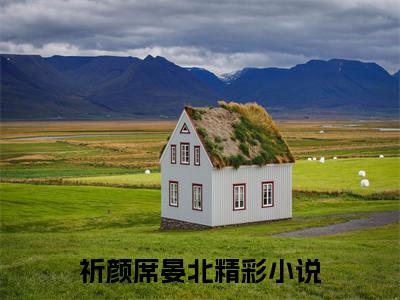 祈颜席晏北小说最新章节（祈颜席晏北）全文免费阅读无弹窗大结局_祈颜席晏北小说（祈颜席晏北小说：祈颜席晏北）