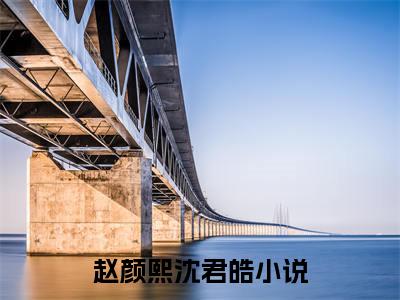 赵颜熙沈君皓（赵颜熙沈君皓）全文免费阅读无弹窗大结局_赵颜熙沈君皓最新章节列表_笔趣阁（赵颜熙沈君皓）