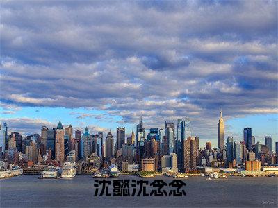 沈懿沈念念小说免费阅读无弹窗-沈懿沈念念（沈懿沈念念）小说免费阅读无弹窗大结局