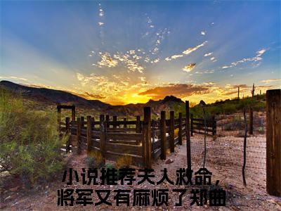 夫人救命，将军又有麻烦了郑曲尺(夫人救命，将军又有麻烦了郑曲尺)全文免费夫人救命，将军又有麻烦了郑曲尺读无弹窗大结局_ 夫人救命，将军又有麻烦了郑曲尺无弹窗最新章节列表_笔趣阁