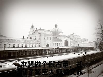 本想做个假古董，却成了鉴宝大师梅又鼎(本想做个假古董，却成了鉴宝大师梅又鼎)是什么小说-美文赏析《本想做个假古董，却成了鉴宝大师梅又鼎》本想做个假古董，却成了鉴宝大师梅又鼎抖音热文分享