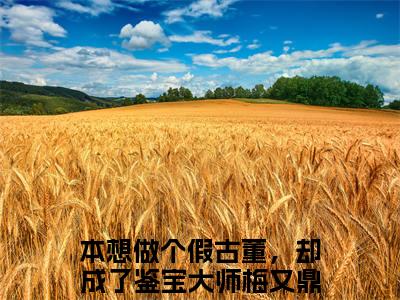 全网热搜（本想做个假古董，却成了鉴宝大师梅又鼎）是什么小说_主角是（本想做个假古董，却成了鉴宝大师梅又鼎）的小说（本想做个假古董，却成了鉴宝大师梅又鼎）最新章节无弹窗阅读
