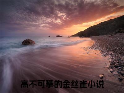 高不可攀的金丝雀全文（沈年雀雀小说）全文免费阅读无弹窗大结局_沈年雀雀免费最新章节列表