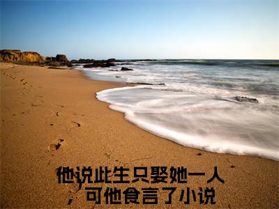 他说此生只娶她一人，可他食言了全文免费阅读无弹窗大结局_陈靖廷徐晚凝最新章节列表笔趣阁