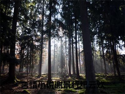 谢景行纪云欢全文(谢景行纪云欢)全文免费阅读无弹窗大结局_ 谢景行纪云欢全文免费阅读最新章节列表_