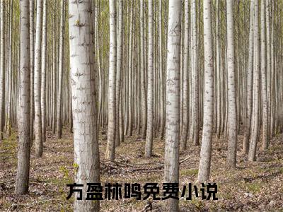 方盈林鸣全文（军婚逼我下乡?我PUA他全家小说）全文免费阅读无弹窗大结局_方盈林鸣免费最新章节列表_笔趣阁（军婚逼我下乡?我PUA他全家小说）