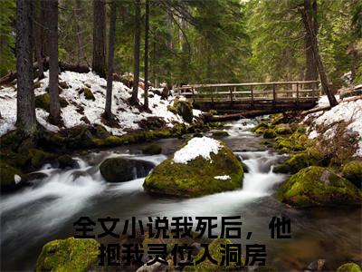 我死后，他抱我灵位入洞房小说全文免费阅读-苏媛江北辰在线阅读的小说完整版