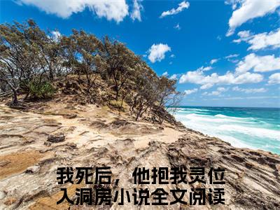 我死后，他抱我灵位入洞房全文免费阅读大结局-我死后，他抱我灵位入洞房最新章节免费阅读大结局