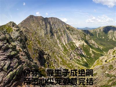 快穿：靠生子成绝嗣帝王心尖宠姜意（快穿：靠生子成绝嗣帝王心尖宠姜意）全文免费阅读无弹窗大结局_（快穿：靠生子成绝嗣帝王心尖宠姜意）最新章节列表笔趣阁