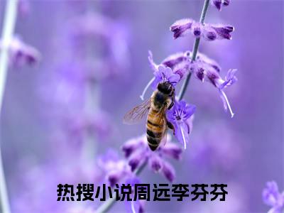 周远李芬芬（乡村留守：男人蜕变从成人礼开始）热门小说盘点在线阅读-周远李芬芬小说无弹窗