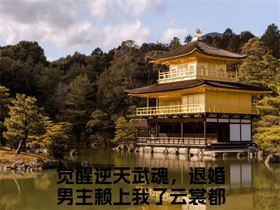 觉醒逆天武魂，退婚男主赖上我了云裳最新小说全文阅读-抖音新书热荐觉醒逆天武魂，退婚男主赖上我了云裳