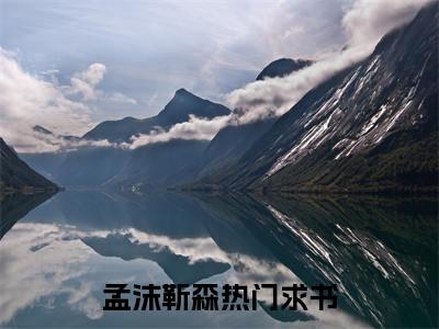 孟沫靳森小说（孟沫靳森）最新章节阅读-孟沫靳森最新热点小说