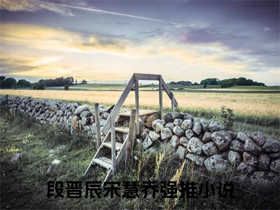 段晋辰宋慧乔是哪部小说的主角-《段晋辰宋慧乔》全文无弹窗完整版阅读