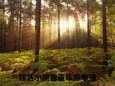 高赞热文容堇年苏季沫完整版阅读-容堇年苏季沫爆款免费小说阅读无弹窗