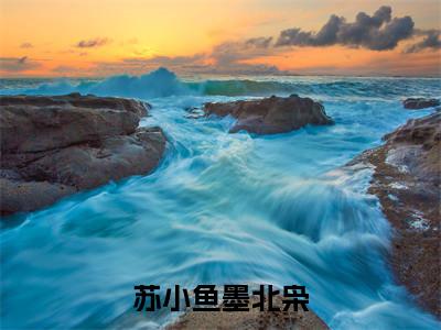 苏小鱼墨北枭小说精彩章节-主角为苏小鱼墨北枭在线阅读