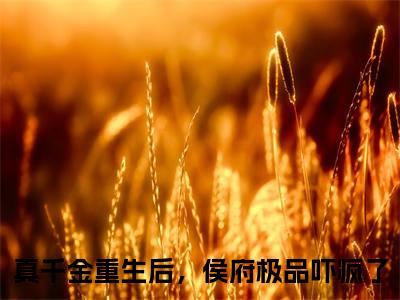 真千金重生后，侯府极品吓疯了小说最新试读_沈晏是（真千金重生后，侯府极品吓疯了免费阅读最新章节列表）_笔趣阁（沈晏）