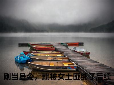 刚当县令，就被女土匪绑了小说最新试读_（林枫免费阅读最新章节列表）_笔趣阁