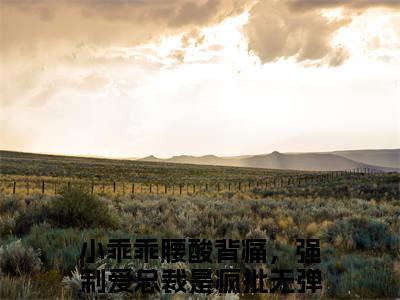 小说小乖乖腰酸背痛，强制爱总裁是疯批无弹窗免费阅读-新上热文小说（孟霁陆野）讲的是什么