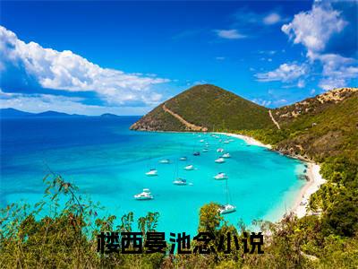 楼西晏池念小说在线阅读(楼西晏池念)_楼西晏池念小说最新章节