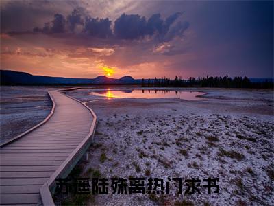 苏遥陆殊离（苏遥陆殊离）全文免费阅读大结局-苏遥陆殊离最新章节免费阅读大结局