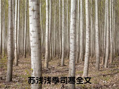 苏浅浅季司寒（苏浅浅季司寒）全文在线阅读无弹窗大结局_(苏浅浅季司寒免费阅读全文大结局)最新章节列表_笔趣阁（苏浅浅季司寒）