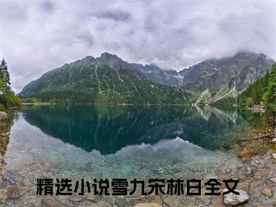 雪九宋林白小说（雪九宋林白）全文免费阅读_雪九宋林白小说最新章节列表笔趣阁小说