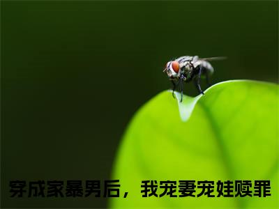 穿成家暴男后，我宠妻宠娃赎罪全文（夏汐瑶顾星熠）抖音热推小说全集无删减_夏汐瑶顾星熠免费最新章节列表_笔趣阁