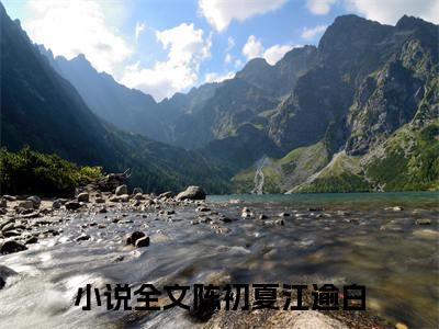 热门榜单精彩小说陈初夏江逾白，陈初夏江逾白推荐小说免费章节阅读