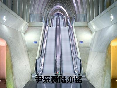 尹采薇陆亦铭（尹采薇陆亦铭）全文小说免费阅读-尹采薇陆亦铭最新章节列表_笔趣阁
